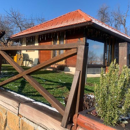 Apartmani Lunija Gornji Milanovac Exterior foto